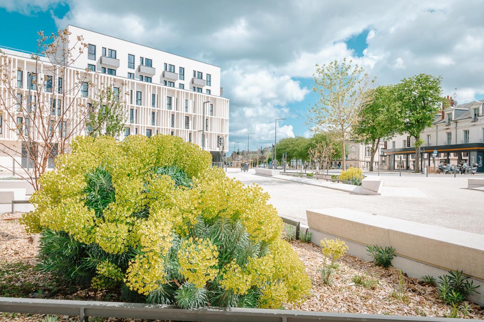 Beelodge Centre Blois